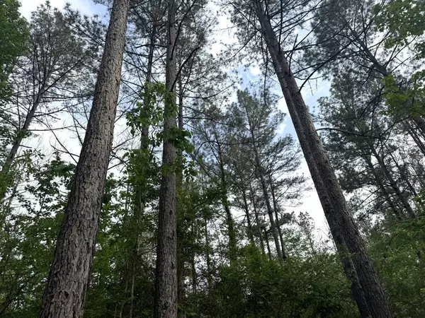 Bogue Chitto, MS 39629,2780 Jackson Liberty Road