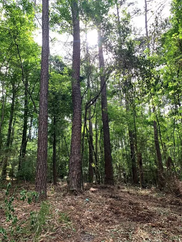 Magnolia, MS 39652,Catbird Lane