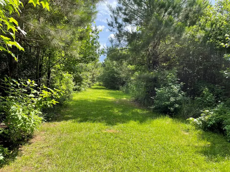 Tom Warner, Tylertown, MS 39667