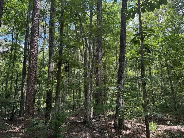 Hazlehurst, MS 39083,3016 Ashley Road