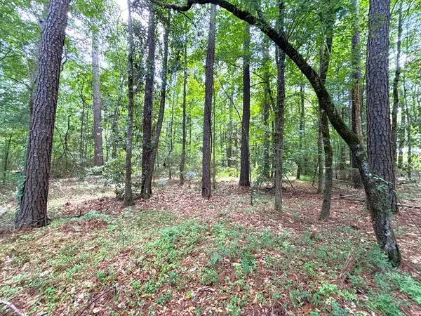 Bogue Chitto, MS 39629,Dixon Ln Se