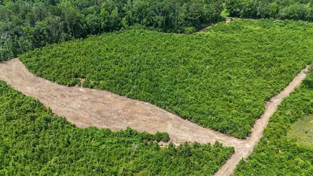 Liberty, MS 39645,Mcclain Road