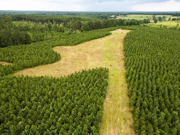 Osyka, MS 39652,6198 Old Mill Road