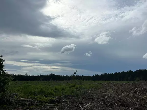 Smithdale, MS 39664,17619 Hwy 98