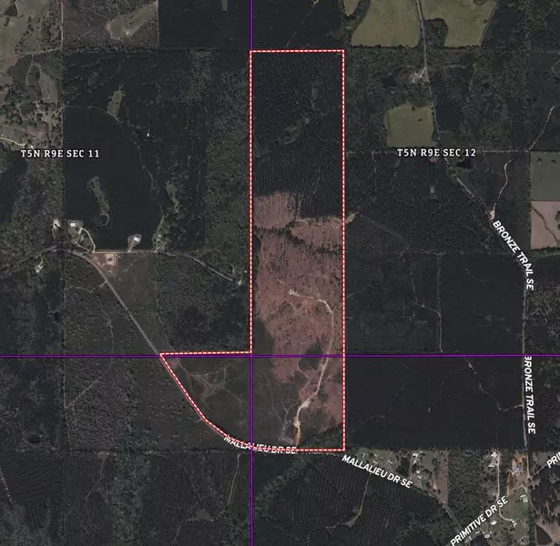 1234 Mallilieu Road, Ruth, MS 39662