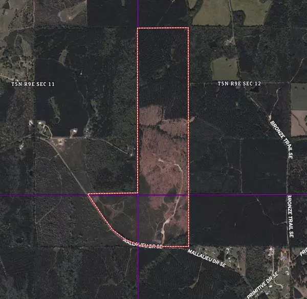 1234 Mallilieu Road, Ruth, MS 39662