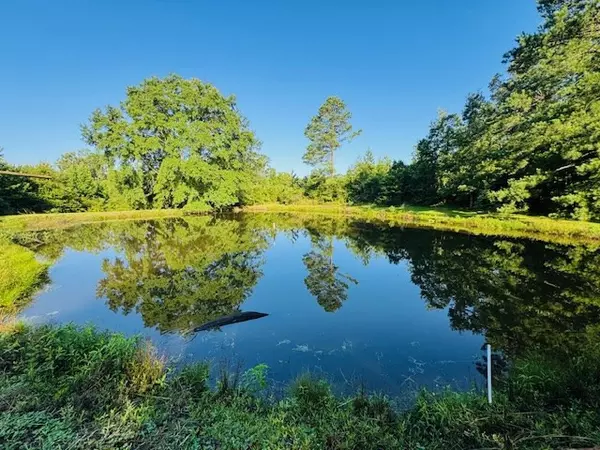 Fayette, MS 39067,3248 Gravel Hill Road