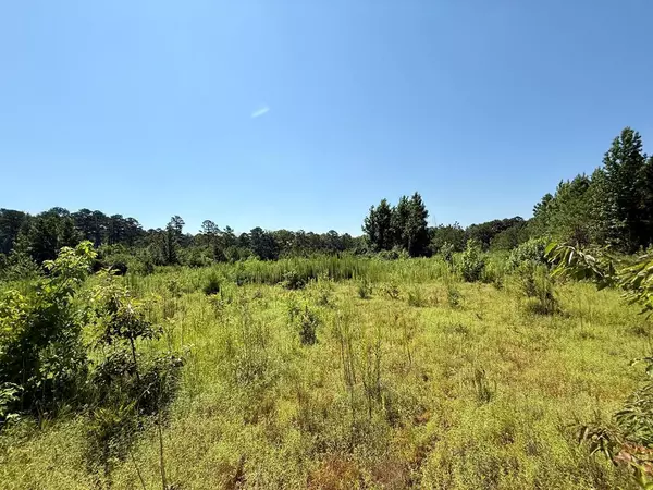 58 Conley Peavy, Monticello, MS 39654