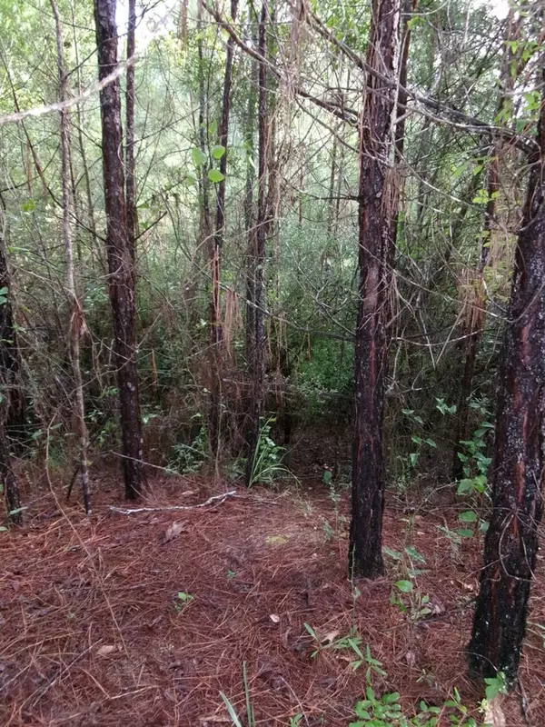 Sontag, MS 39665,0 George Bennett Road/rankin Road