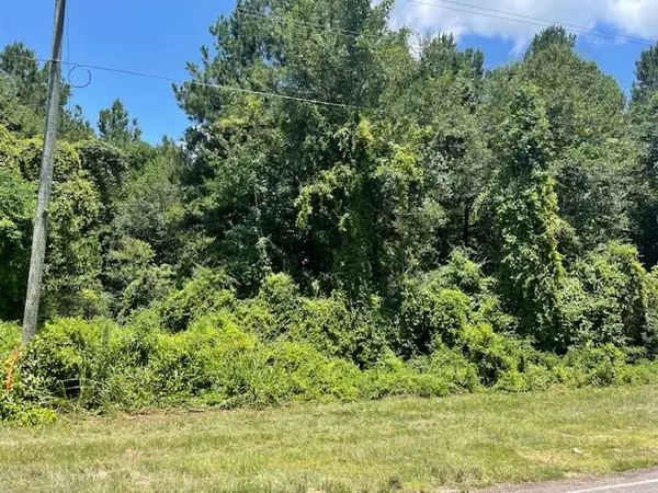 Tylertown, MS 39667,0 Rushingtown Road