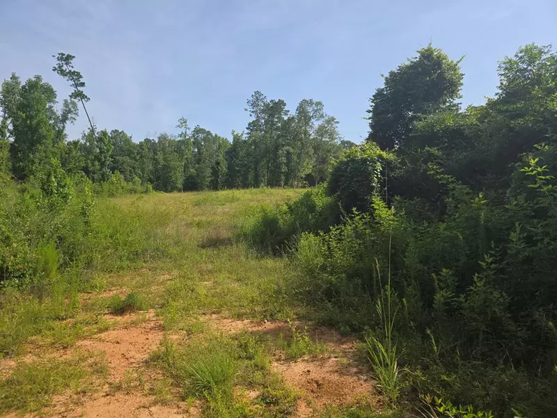 0 Browder Lane, Centreville, MS 39631