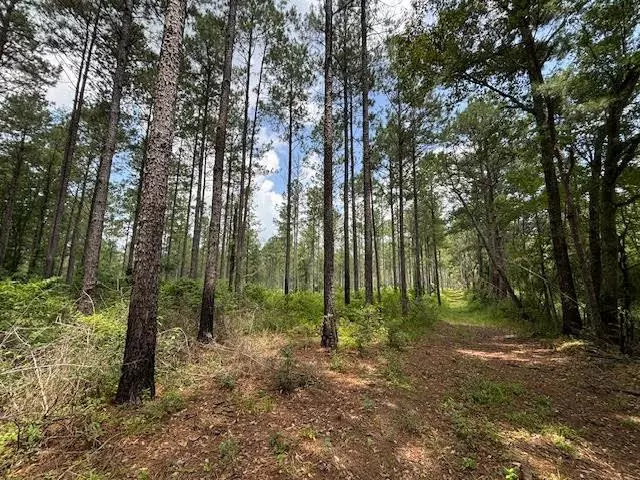 182 Hwy 44, Jayess, MS 39641