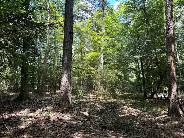 Summit, MS 39666,River Road North