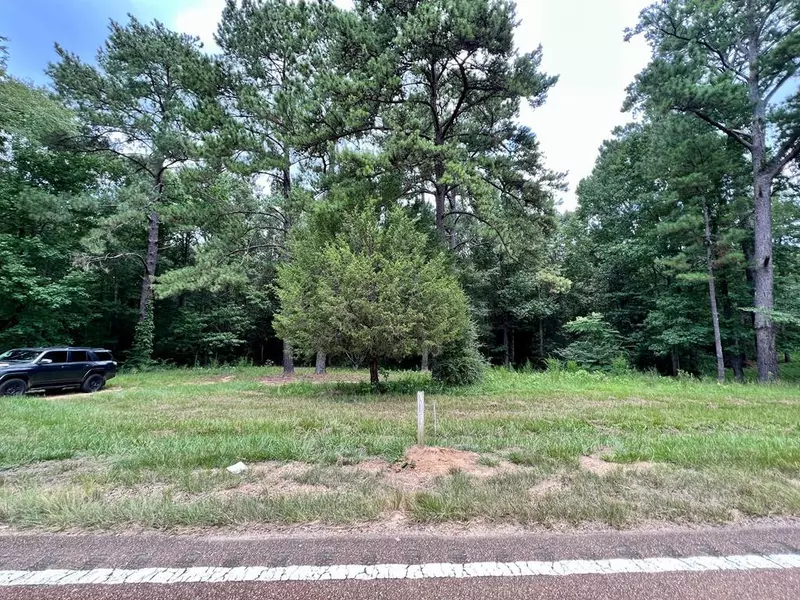 3 Highway 98, Meadville, MS 39653