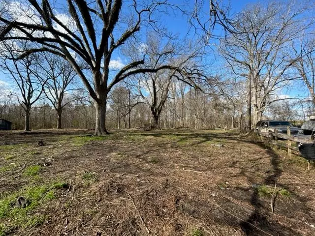 Vietnam Street, Fayette, MS 39069