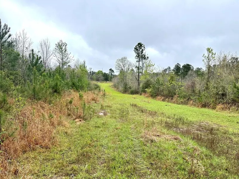 0 Coons Mill Road, Woodville, MS 39669