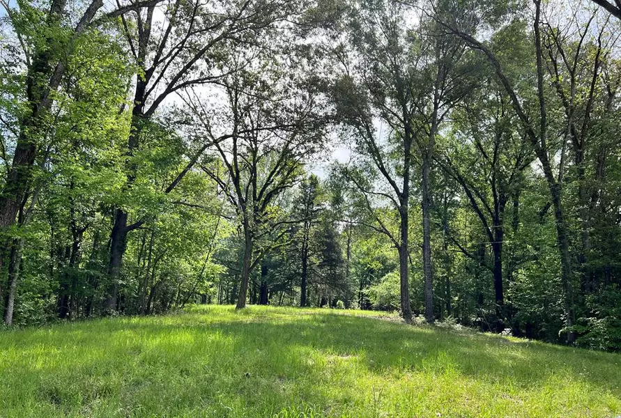 Guedon Road, Church Hill, MS 39120