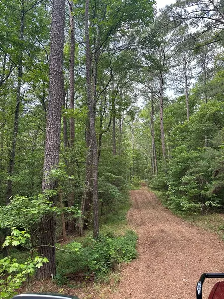 0 Forest Road 170, Crosby, MS 39633