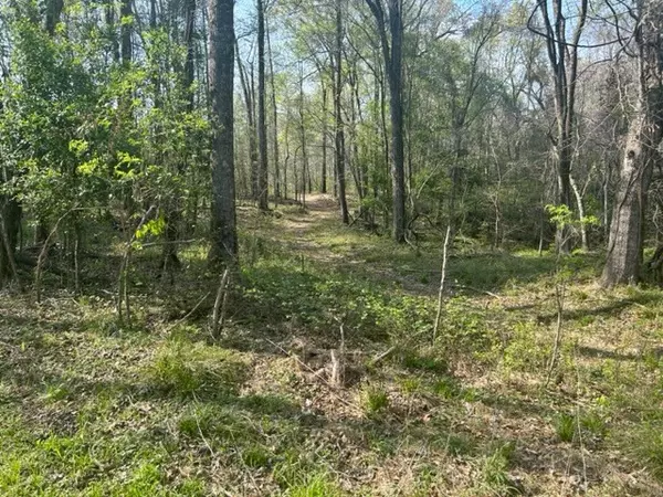 Port Gibson, MS 39150,0 N Ingleside Karnal Ferry Road