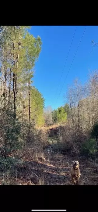 Centreville, MS 39631,SE Old Hwy 24