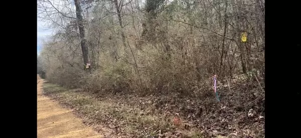 Centreville, MS 39631,SE Old Hwy 24