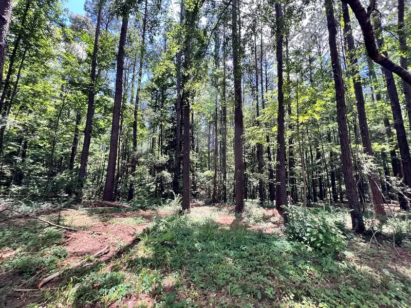 4 Lewis Lane, Meadville, MS 39653