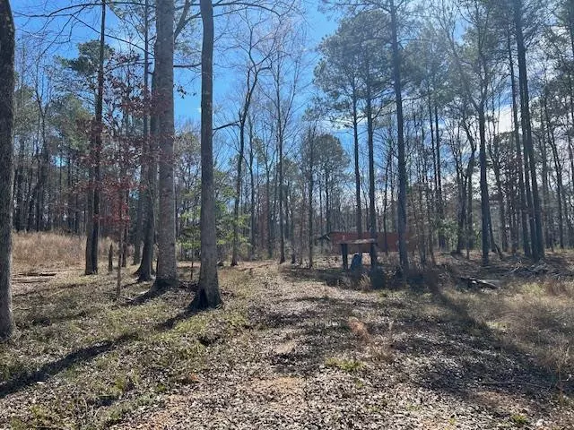 14465 Macedonia Road, Crosby, MS 39633