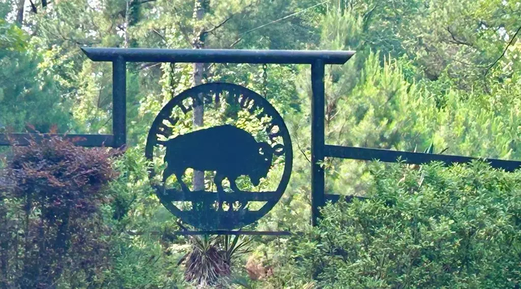 200 Dry Fork Creek Road, Woodville, MS 39669