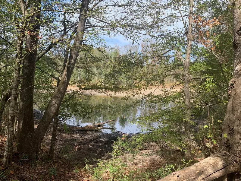 0 Winding Road, Liberty, MS 39645