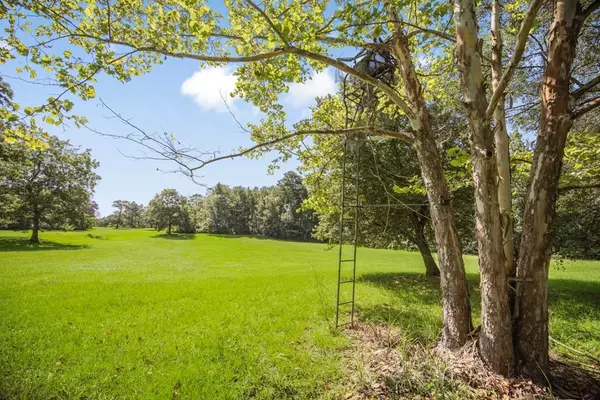 Centreville, MS 39631,2009 Gaulden Clinton Road