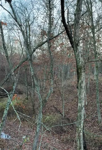 Ford's Creek, Woodville, MS 39669