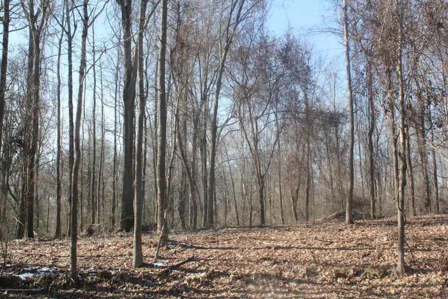 0 Nesbit Road, Lake Cormorant, MS 38641