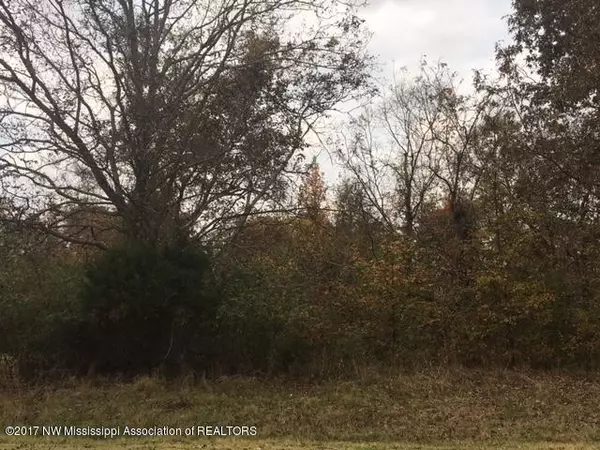 0 MS-310, Como, MS 38619