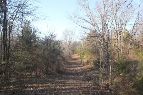 Strayhorn, MS 38665,0 Blue Goose Road