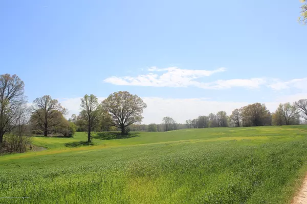 0 Delta View Road, Walls, MS 38680