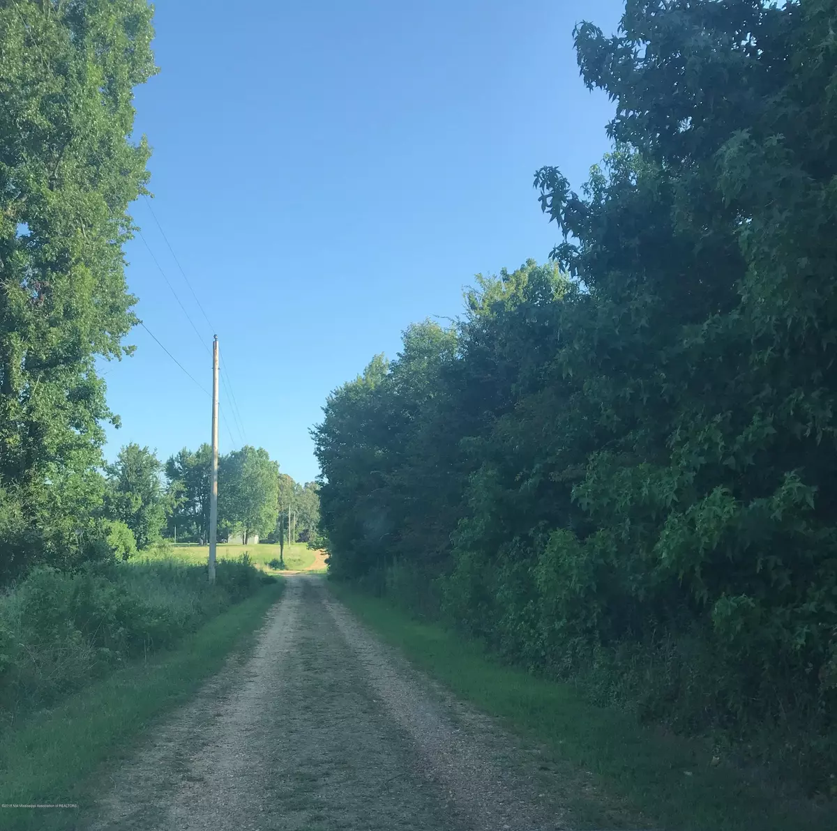 Holly Springs, MS 38635,0 Clydia Road