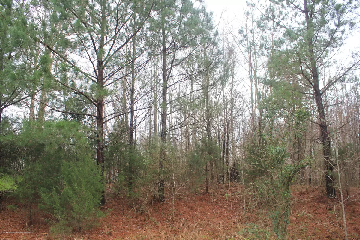 Byhalia, MS 38611,0 Cross Creek Cove