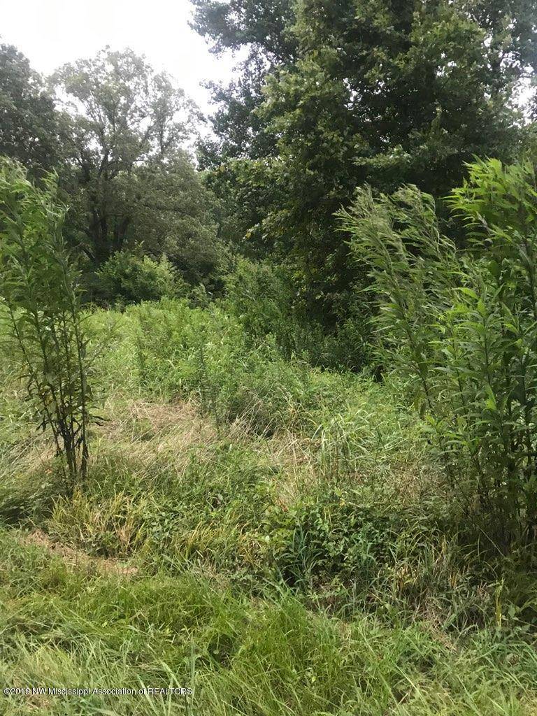 Lake Cormorant, MS 38641,0 Michael Drive
