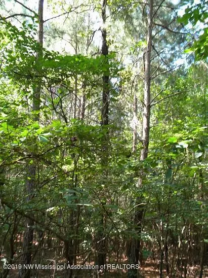 Ripley, MS 38663,0 County Road 546