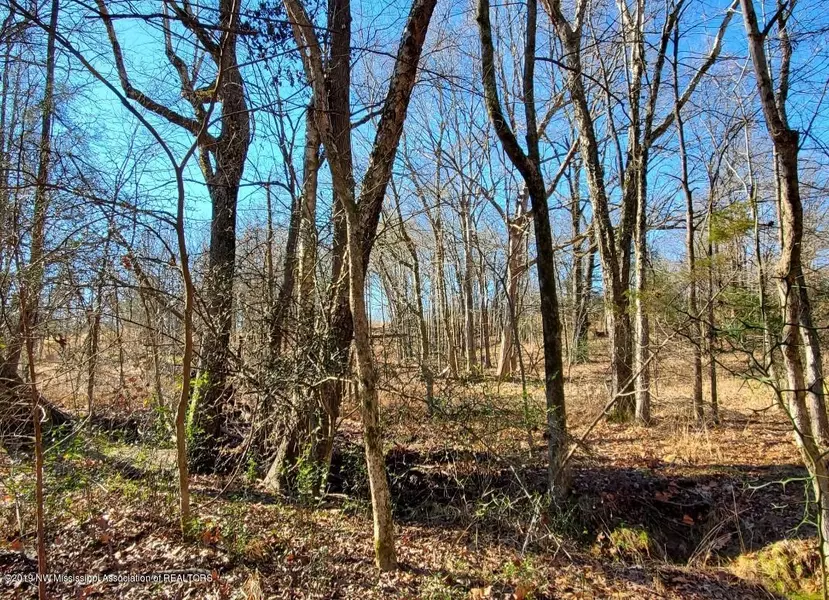 0 Lewers Chapel Road, Looxahoma, MS 38668