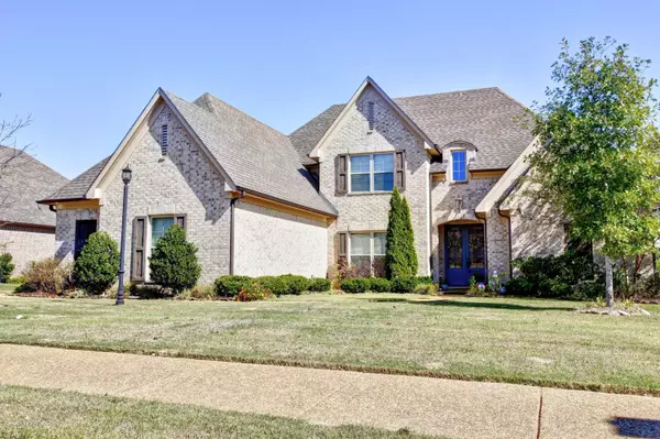 Olive Branch, MS 38654,0 N Bear Cove