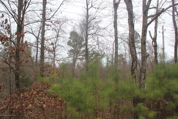 Abbeville, MS 38601,0 Co Rd 204