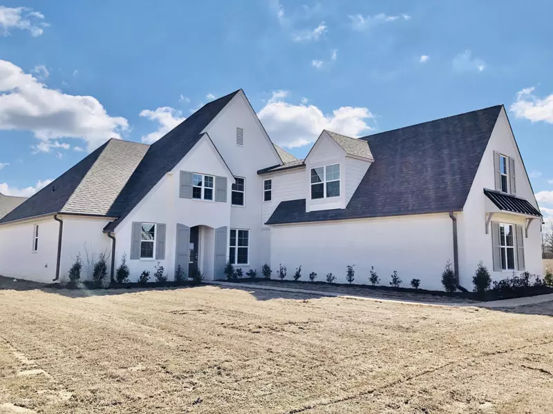 0 Carolyn Mitchell Drive, Olive Branch, MS 38654