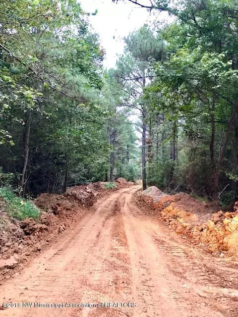 Byhalia, MS 38611,0 Strickland Road