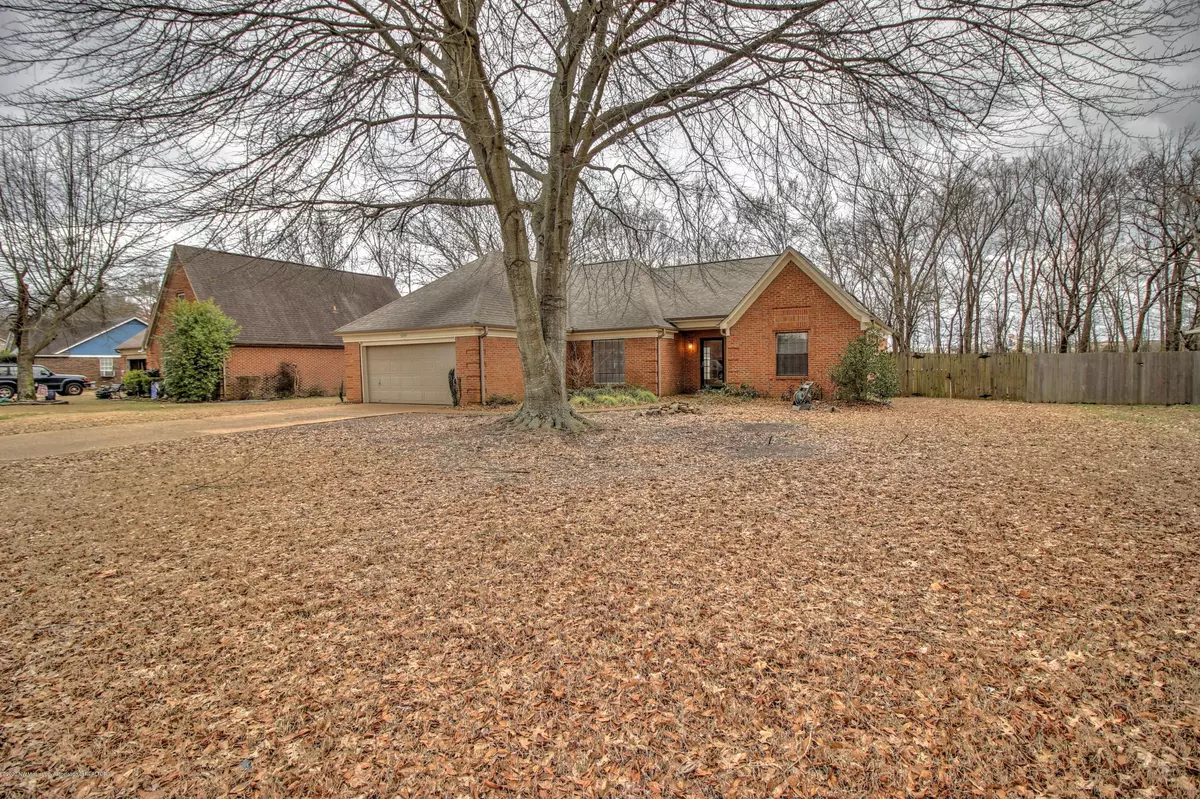 Southaven, MS 38671,0 Plum Tree Drive