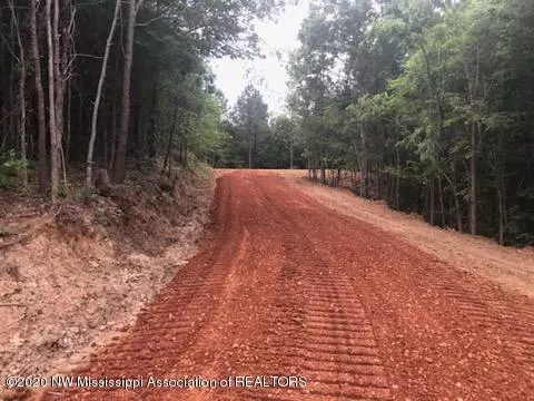 0 Sandy Branch Road, Sarah, MS 38665