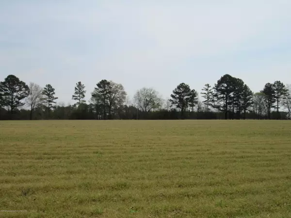 Pelahatchie, MS 39145,0 Harrell Road