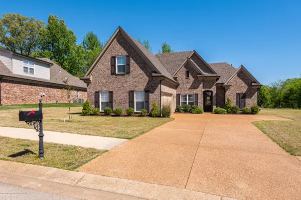 Southaven, MS 38672,0 Vineyard Drive