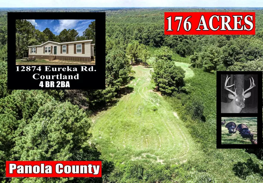 0 Eureka Road, Courtland, MS 38620