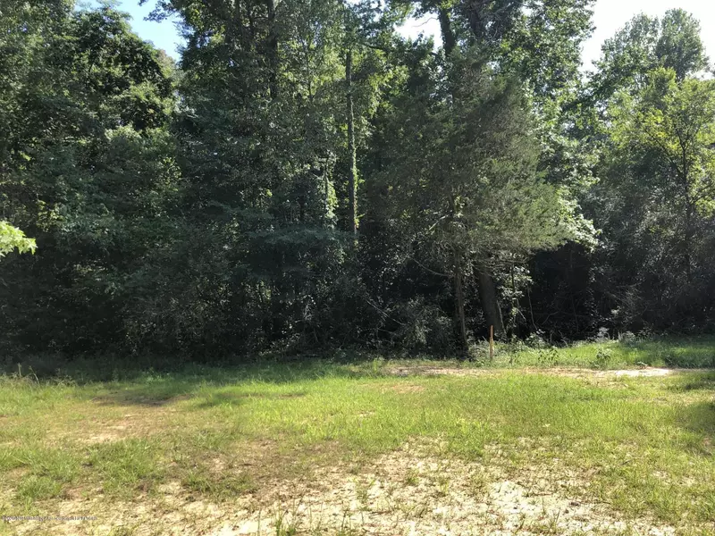 0 Brown Hills Road, Byhalia, MS 38611